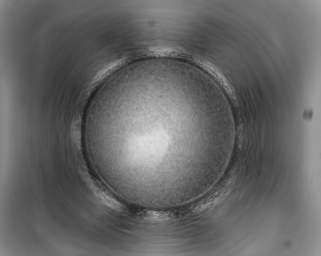 X0000100360442200806131018