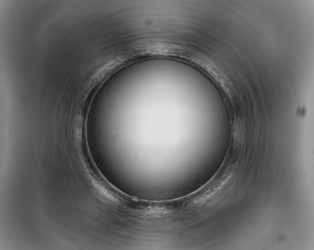 X0000100360445200806131018