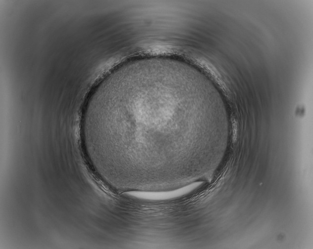 X0000100360447200806131018