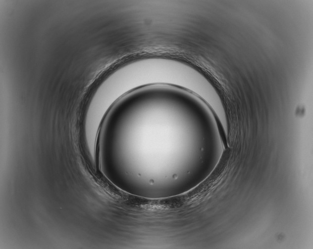 X0000100360448200806131018