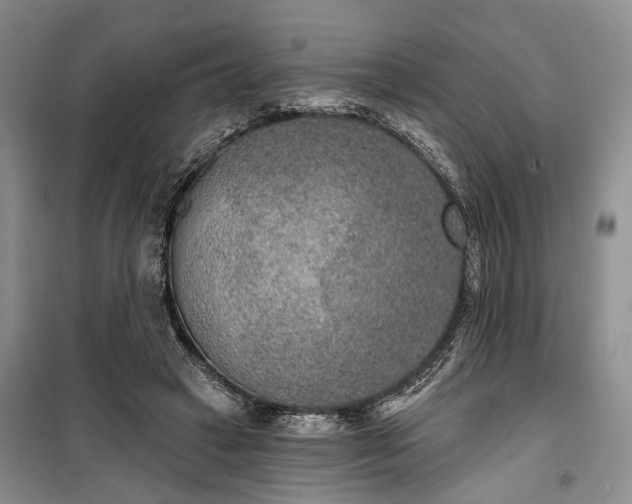 X0000100360449200806131018