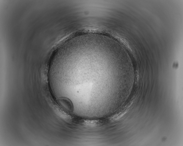 X0000100360450200806131018