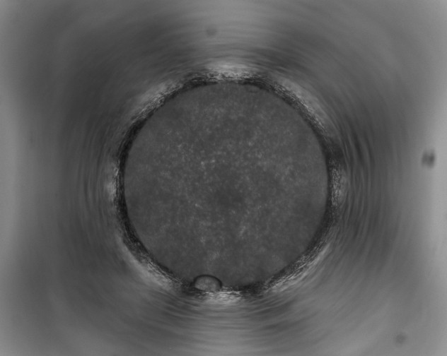 X0000100360451200806131018