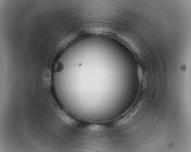 X0000100360453200806131019