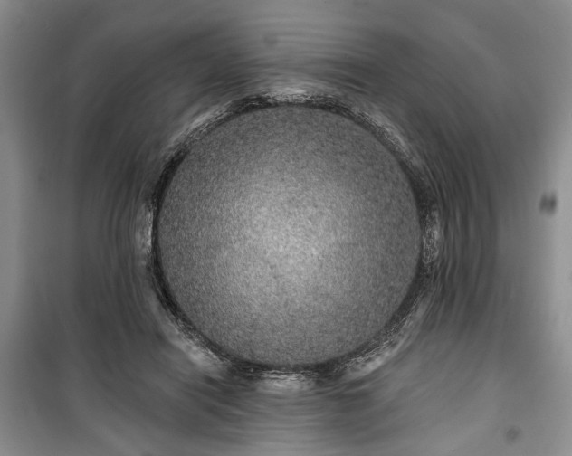 X0000100360454200806131019