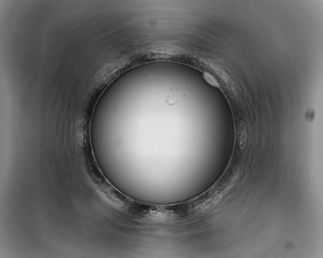 X0000100360455200806131019