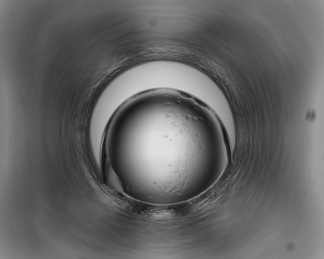 X0000100360456200806131019