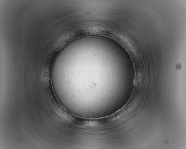 X0000100360457200806131019