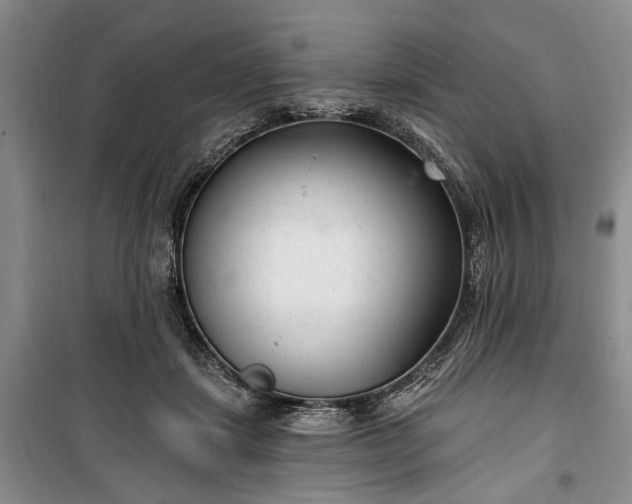 X0000100360459200806131019