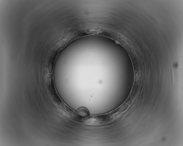 X0000100360460200806131019