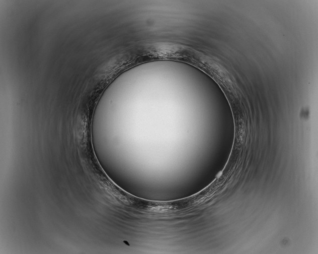 X0000100360461200806131019