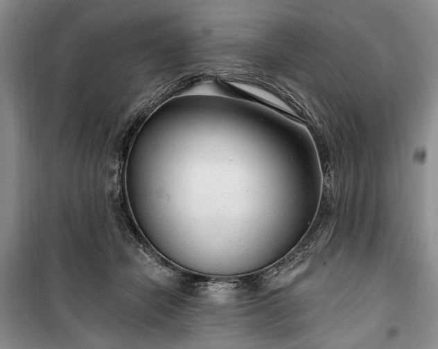 X0000100360462200806131019