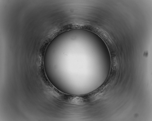 X0000100360463200806131019