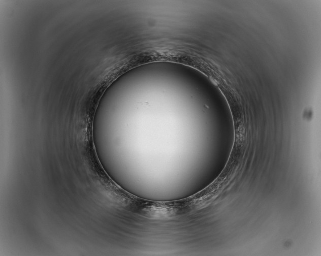 X0000100360464200806131019