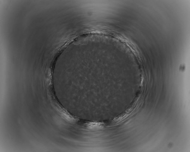 X0000100360465200806131019