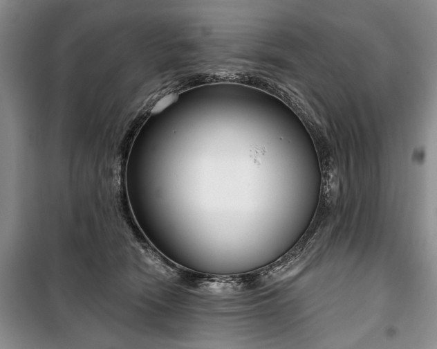 X0000100360466200806131019