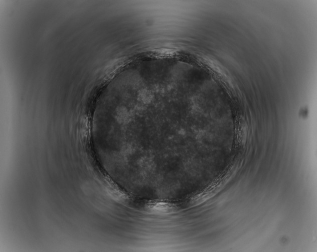 X0000100360467200806131019