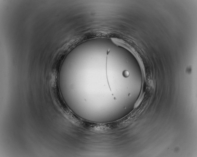 X0000100360468200806131019