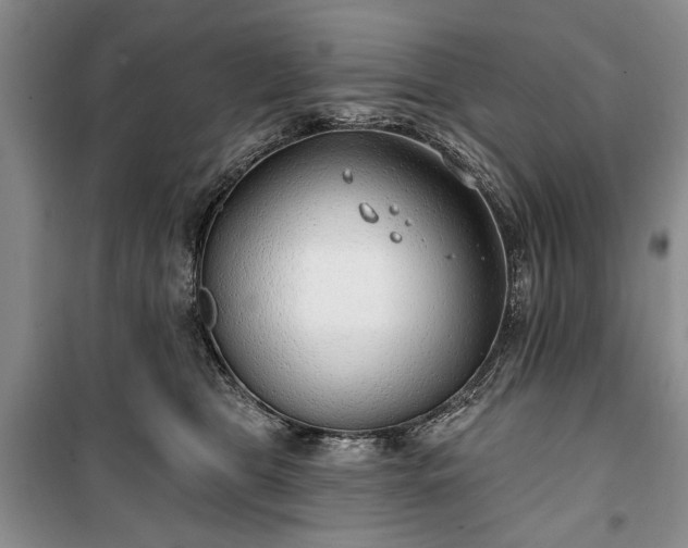 X0000100360469200806131019