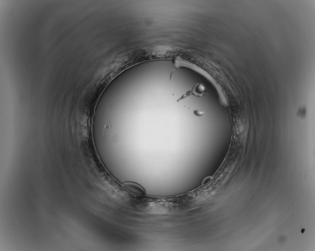 X0000100360470200806131019