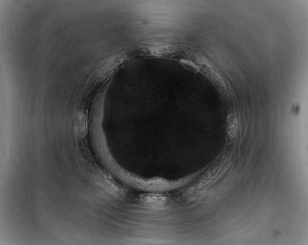 X0000100360471200806131019