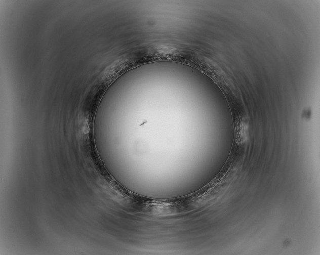 X0000100360472200806131019