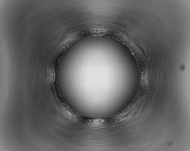 X0000100360474200806131019