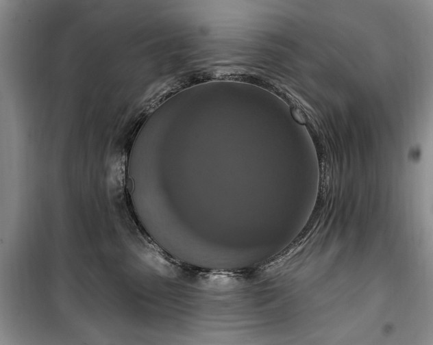 X0000100360475200806131019