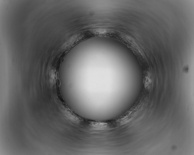 X0000100360476200806131019