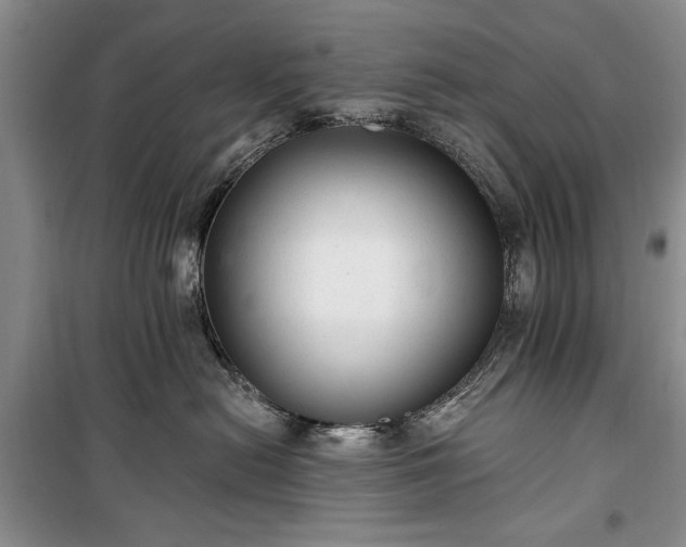 X0000100360478200806131019