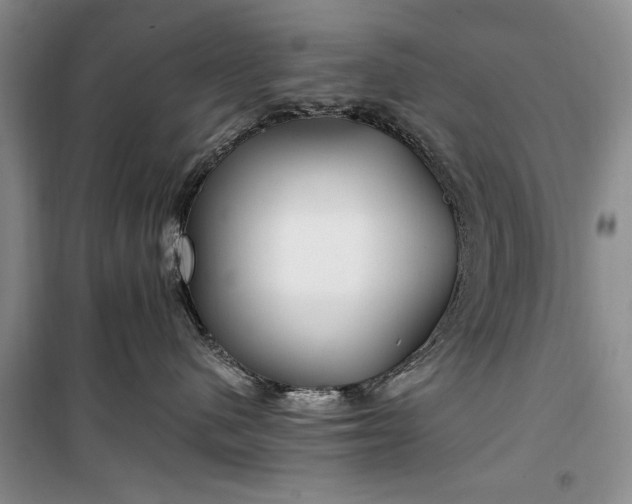 X0000100360480200806131019