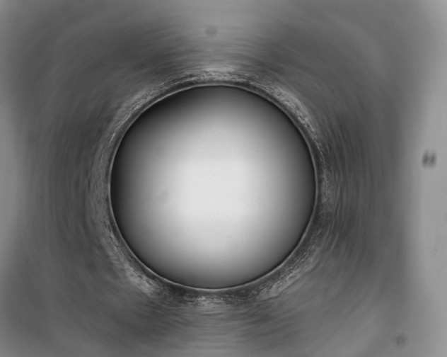 X0000100360481200806131018