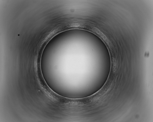 X0000100360482200806131018