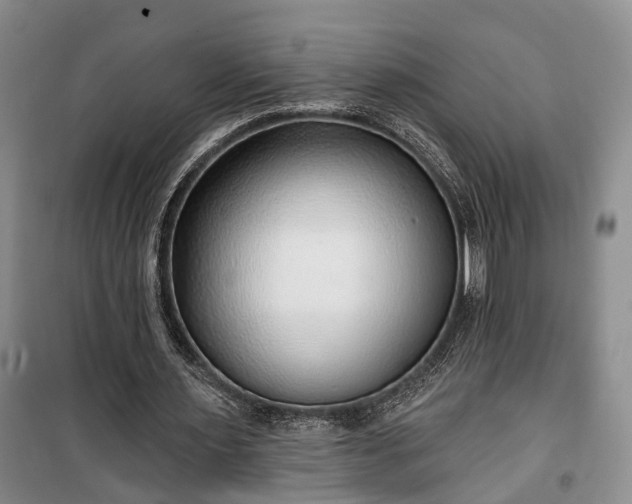 X0000100360483200806131018