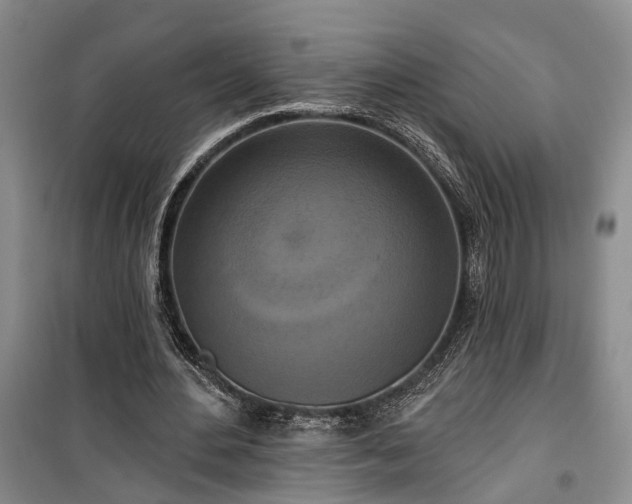 X0000100360484200806131018