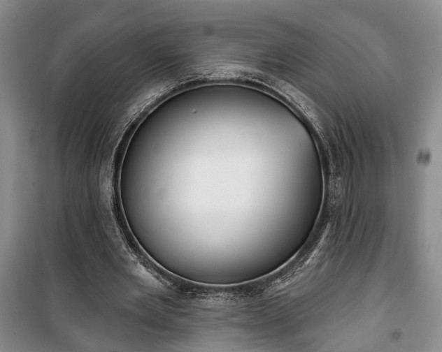 X0000100360485200806131018