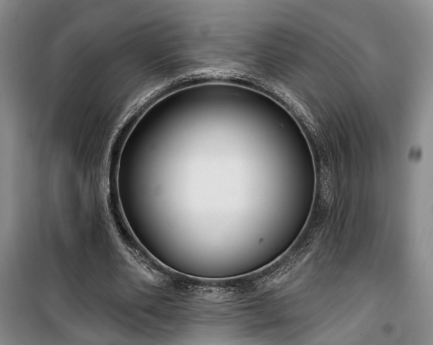 X0000100360486200806131018