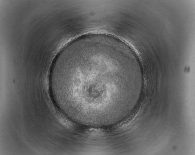 X0000100360487200806131018