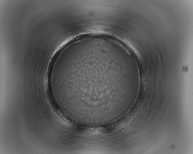 X0000100360488200806131018