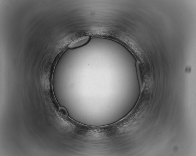 X0000100360489200806131018