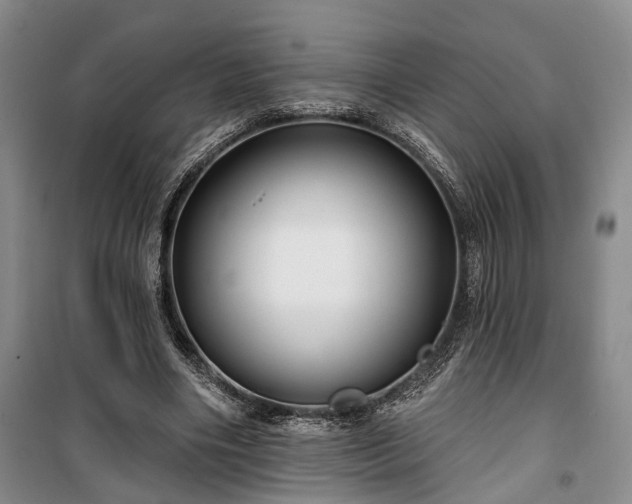 X0000100360490200806131018