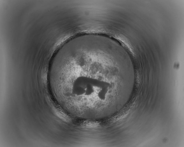 X0000100360491200806131018