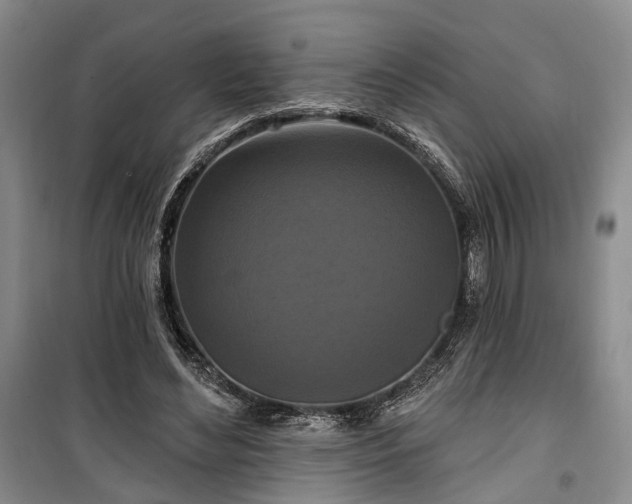 X0000100360492200806131018