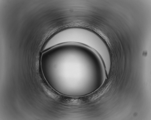 X0000100360493200806131018