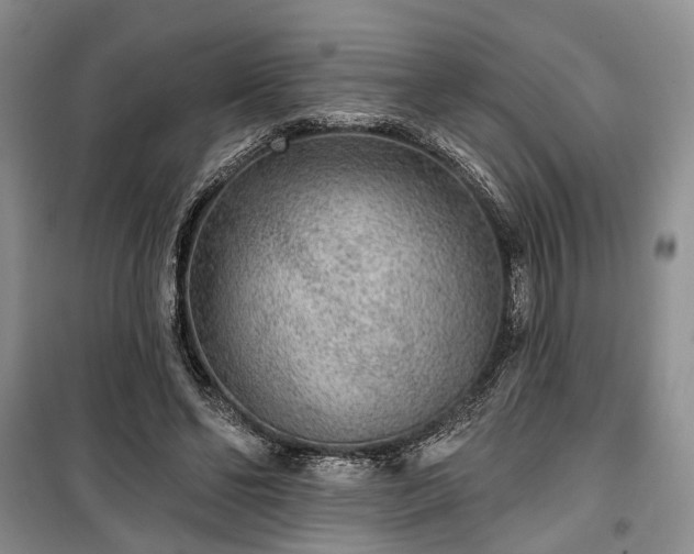 X0000100360494200806131018