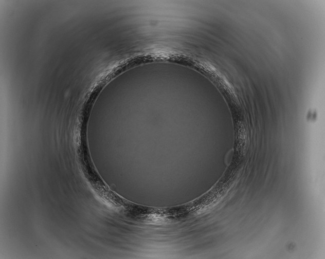 X0000100360496200806131018