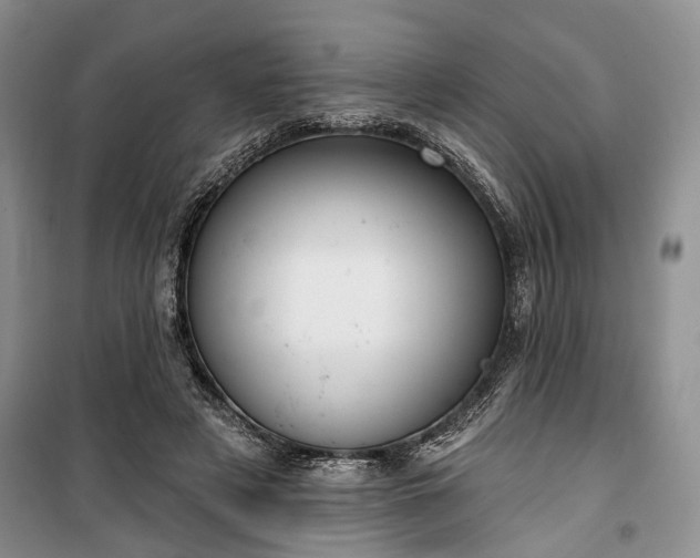 X0000100360497200806131018