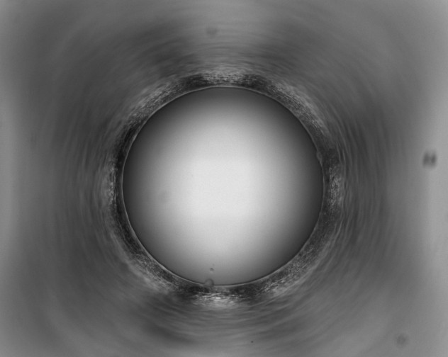 X0000100360498200806131018