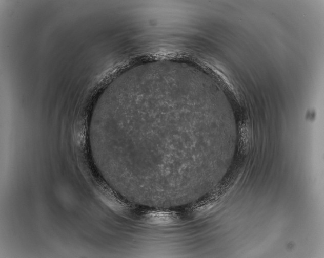 X0000100360499200806131018