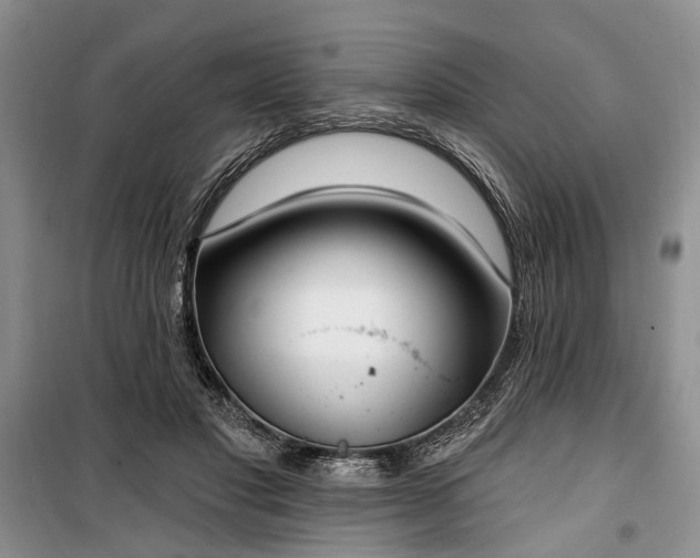 X0000100360501200806131018